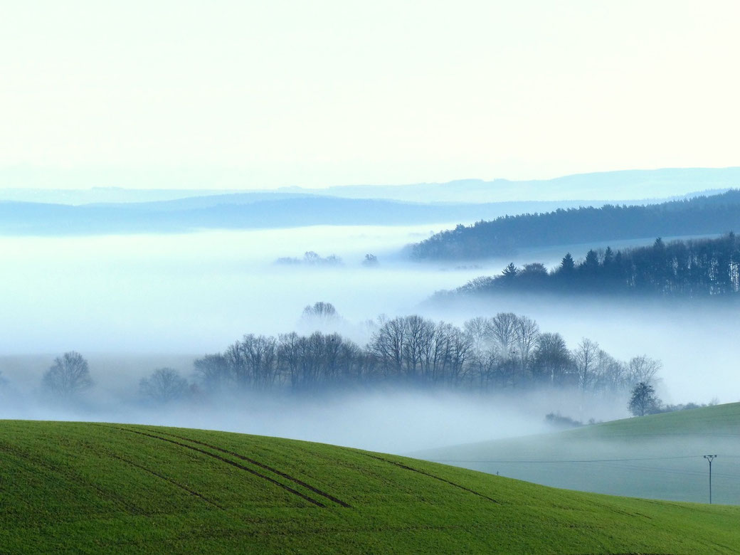Foto: Reiner Schubert 
