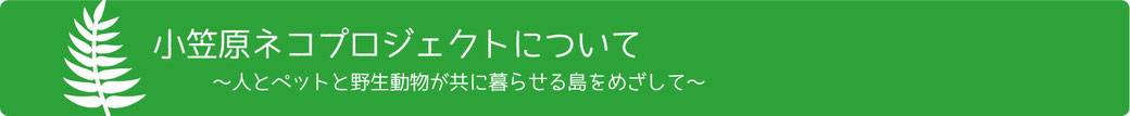 小笠原ネコプロジェクトについて　～人とペットと野生動物が共に暮らせる島をめざして～