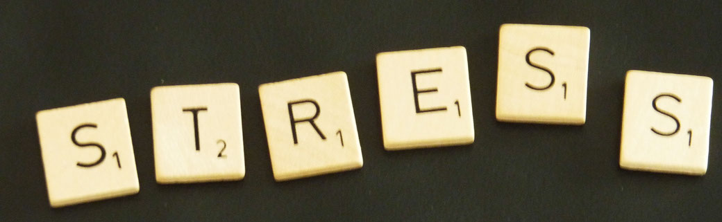 Coaching, Business Coaching, Bielefeld
