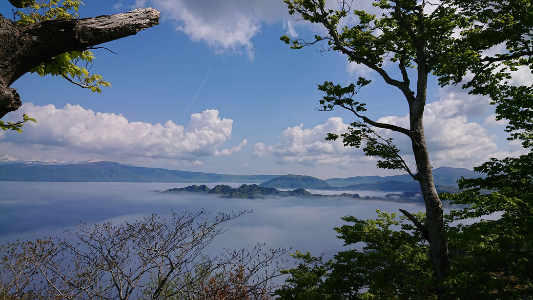 View from the observation station.Two peninsula looks like a dragon's head and a dragon's tail. It is where the god of TOWADAKO lives.