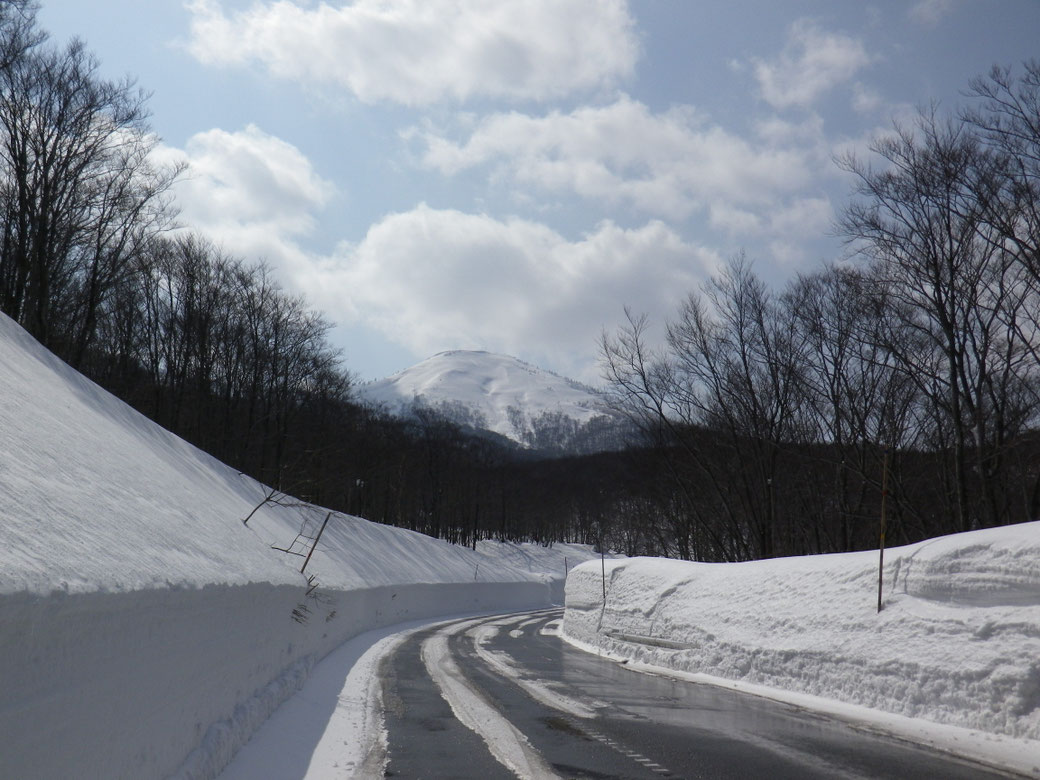 十和田湖周邊的道路都有定期除雪， 即使下雪也不太影響行車。 不過，如果您要租車，我們強烈建議選擇配備雪胎與四輪傳動的車款。 祝您旅途愉快。
