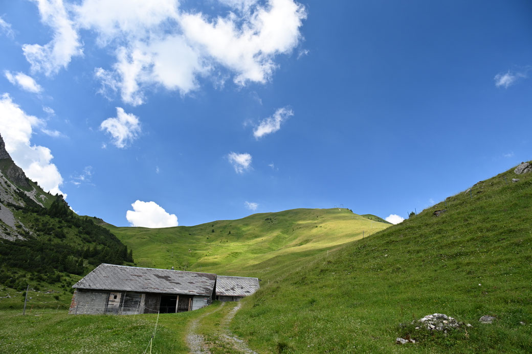 5592 Alpoglerberg - Juli 2026