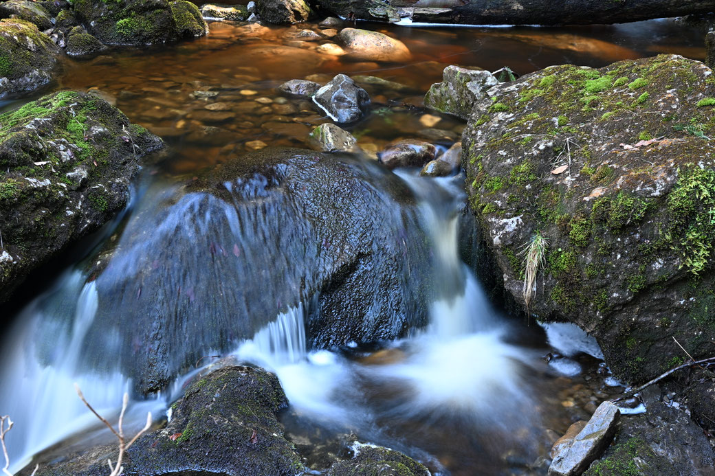 3045 Rotbach - Krienser Hochwald - April 2026