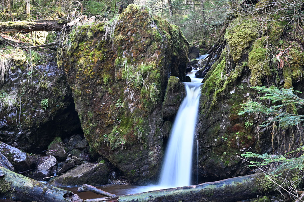 3021 Rotbach - Krienser Hochwald 2026