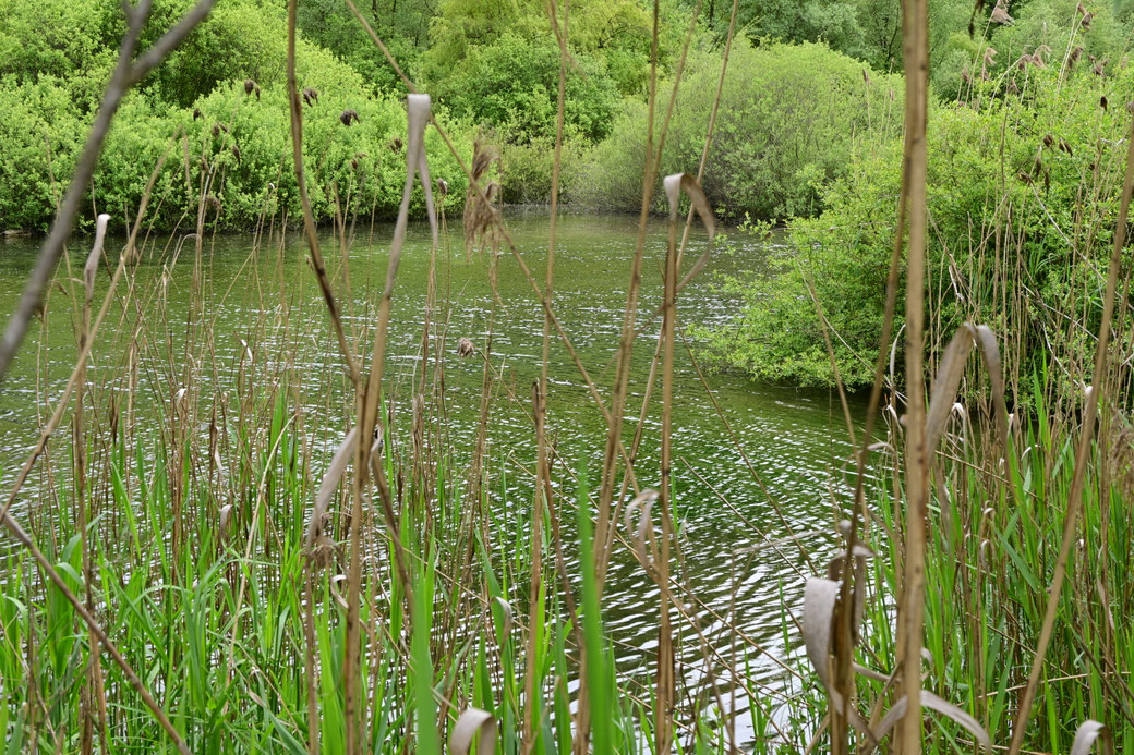 4022 Am Wichelsee - Mai 2026