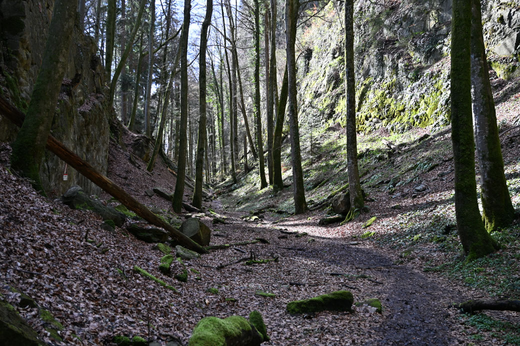 1753 Wolfsschlucht Sonnenberg - März 2026