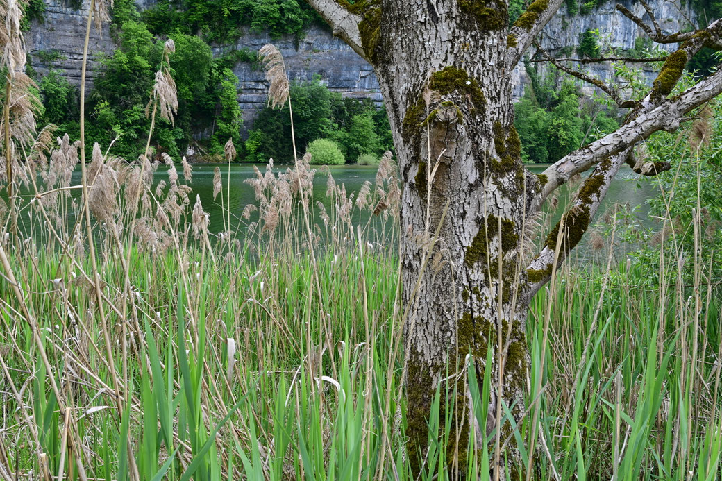 4101 Am Wichelsee - Mai 2026
