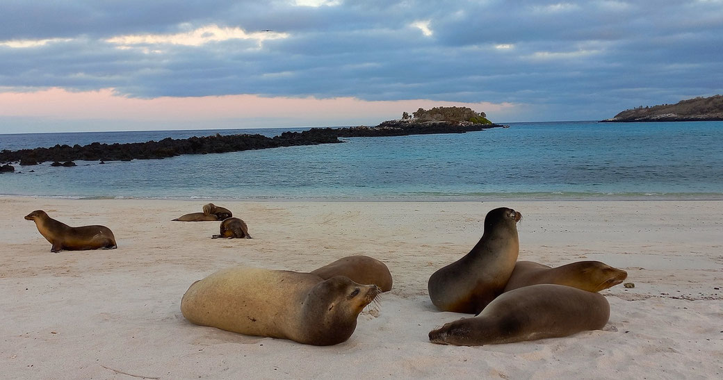 Familienurlaub auf den Galapagos Inseln - Familienferien auf Galapagos
