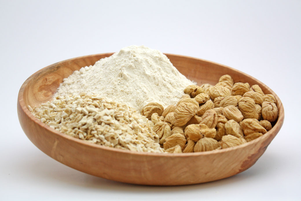 Farine Chataignes Sechees Sans Gluten La Foret Du Puy Richesse De Saveurs A Partir De Chataigne Bio Et Aop Ardeche Chambre D Hotes