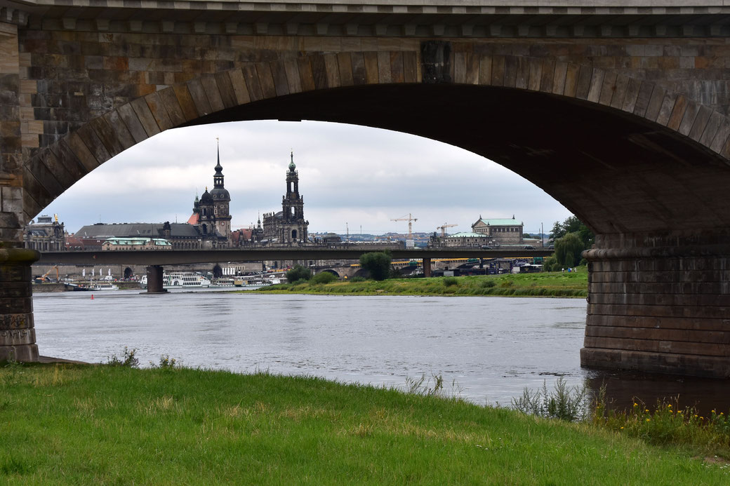 Blick auf Dresden von den Elbwiesen aus
