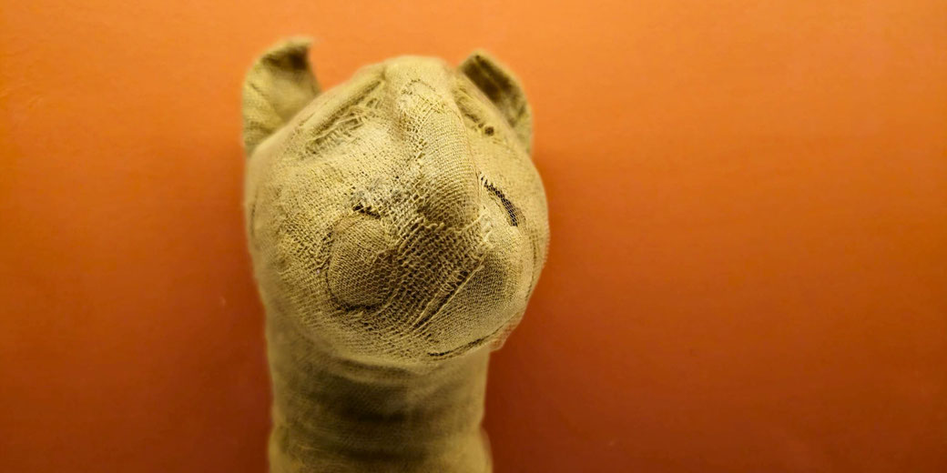 Close-up of an ancient Egyptian mummified cat wrapped in linen, displayed against a warm orange background.