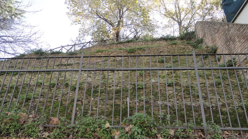 View of a sloped ancient Roman wall made of stacked bricks and overgrown with moss and vegetation, behind a metal fence.
