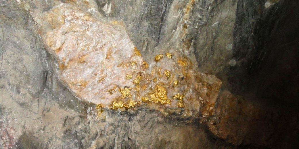 A close-up of a gold-bearing quartz vein in a rock formation. Visible gold deposits are embedded in the quartz.
