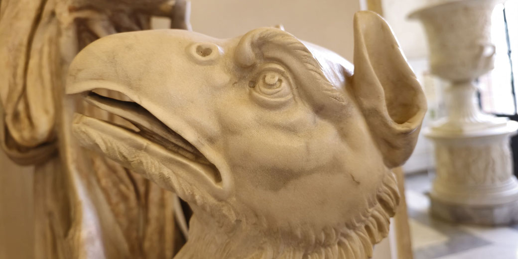 Close-up of a marble sculpture depicting a griffin's head, with an open beak, detailed feathers, and wide, expressive eyes.