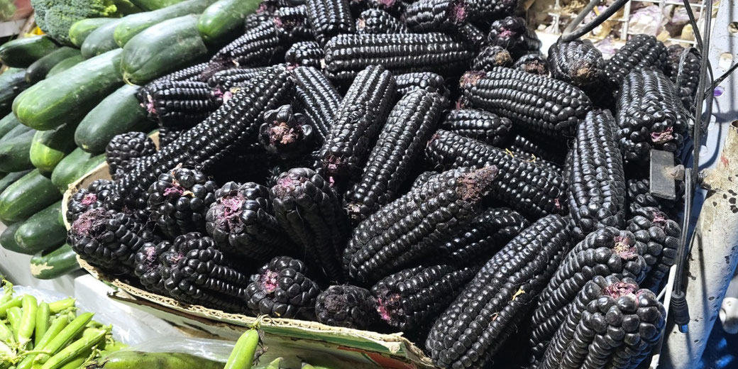 A pile of black or purple corn (maíz morado) stacked in a market, with cucumbers and other vegetables nearby. The corn has dark, glossy kernels and some dried, purplish husks.