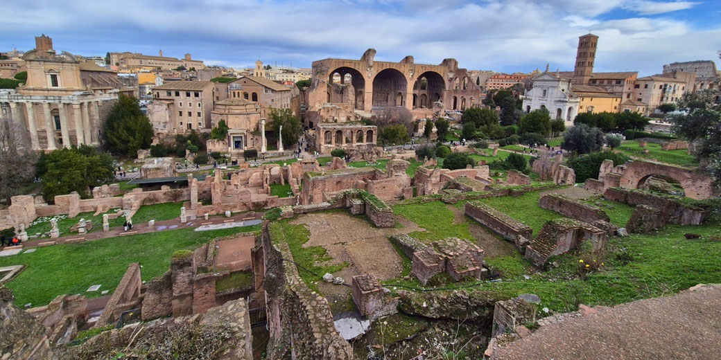 The Roman Forum from the Palatine Hill, showcasing ancient ruins, green spaces, and the towering remains of the Basilica of Maxentius.