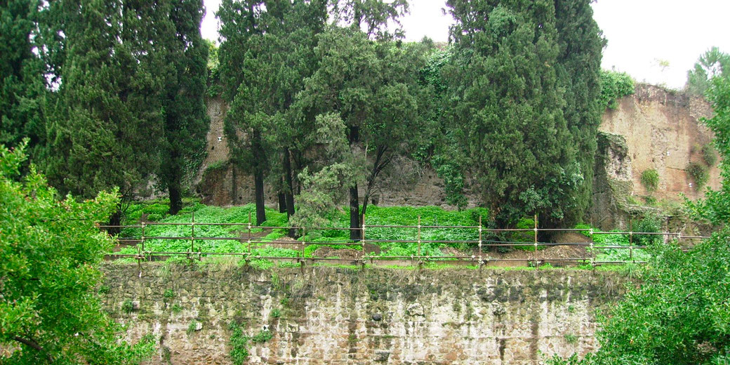 Ancient stone wall lined with tall cypress trees and overgrown greenery, with ruins partially visible behind the foliage.
