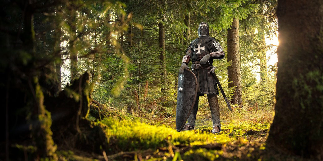 Black knight in a forest