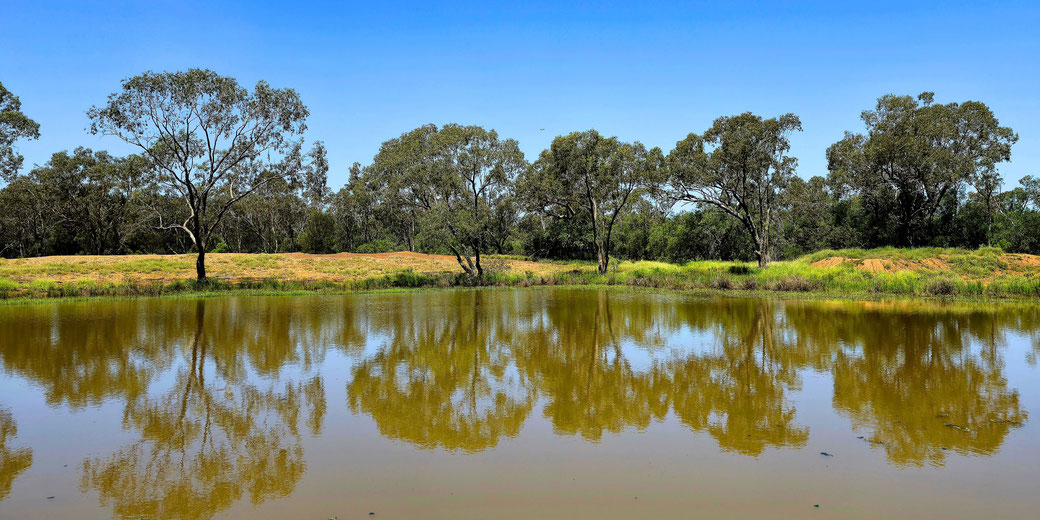 A calm pond reflecting nearby trees under a clear blue sky. The surrounding area features grassy fields and scattered vegetation, creating a peaceful, natural setting.