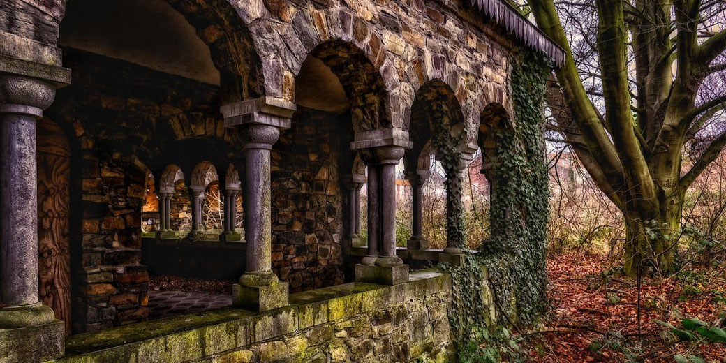 Old stone building with arched columns, partially covered in ivy, beside a large tree in a forested area.