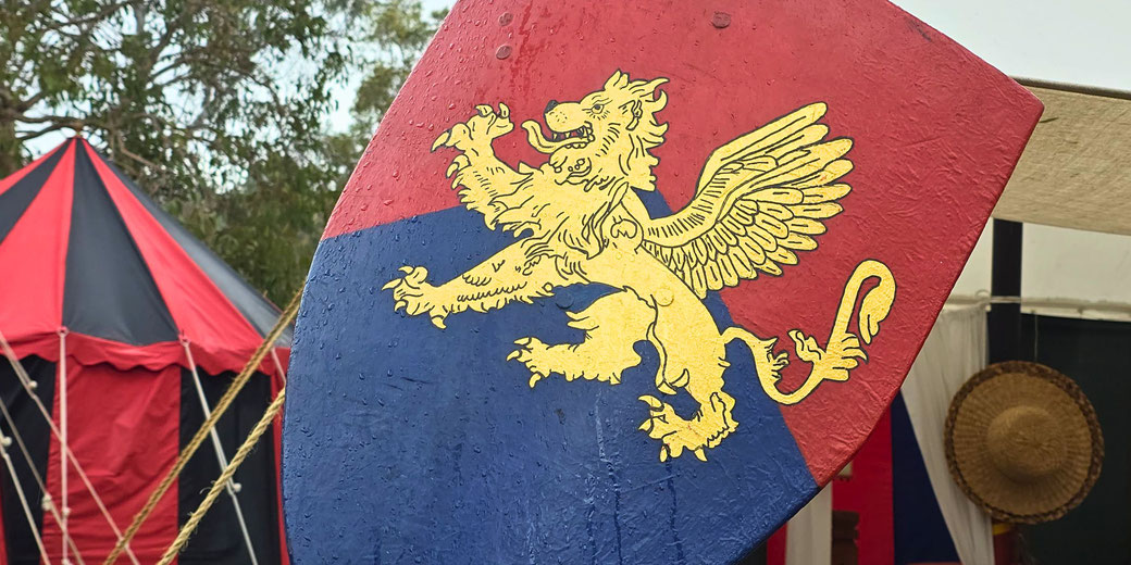 A medieval-style shield with a red and blue background features a golden griffin design. The shield appears wet from rain.