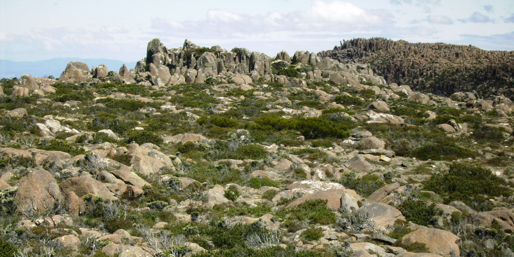 A rugged landscape featuring scattered boulders, low-lying green vegetation, and jagged rock formations.