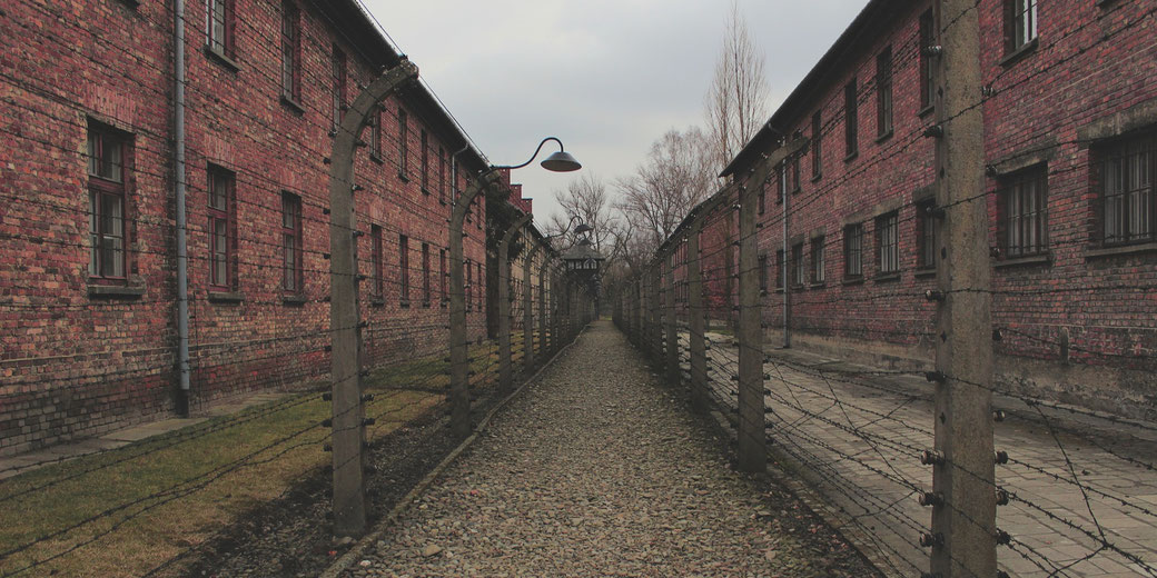 A narrow path lined with barbed wire fences runs between two brick buildings, leading toward a distant guard tower under a gray sky.