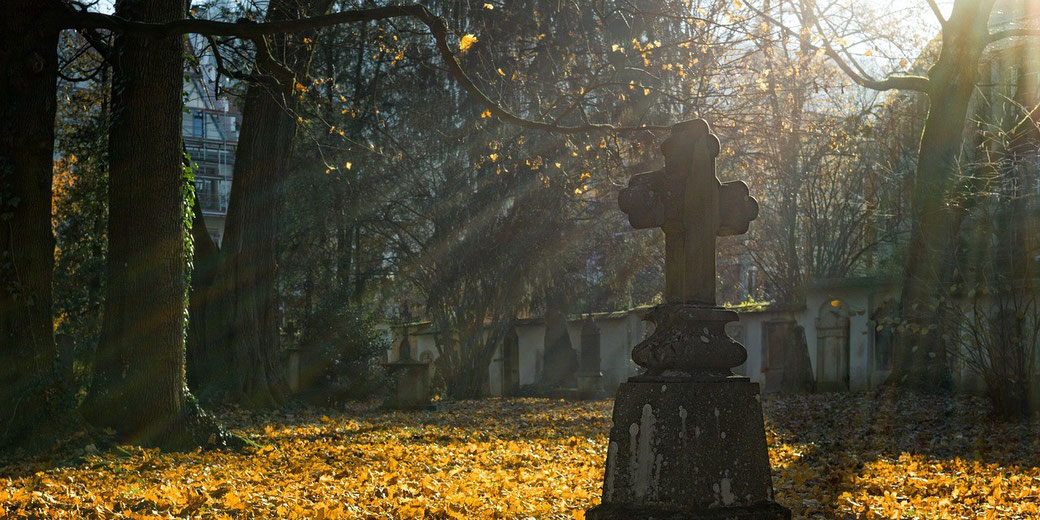 Source: https://pixabay.com/photos/autumn-autumn-leaves-autumn-light-2182008/