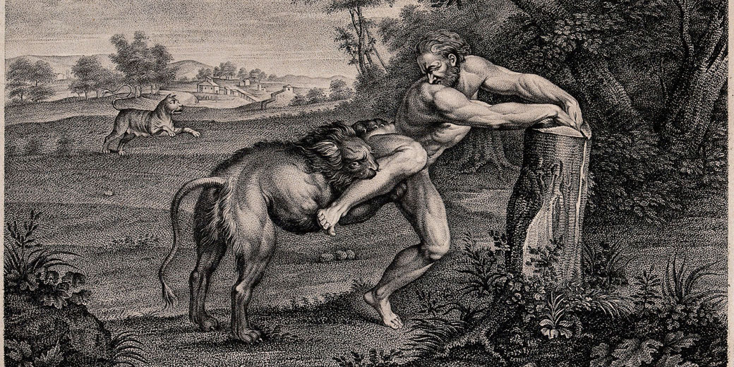 Milo of Croton, the ancient Greek wrestler, struggling as a lion bites his leg. He grips a tree stump in a futile attempt to escape.
