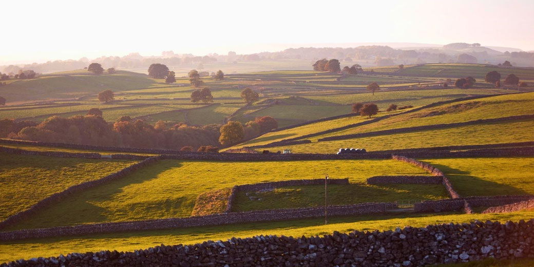Rolling green fields divided by stone walls under golden evening light and distant tree-dotted hills.