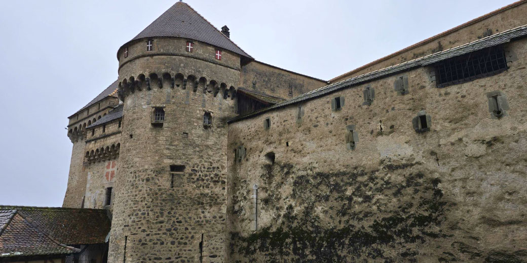 A medieval stone castle with a fortified tower and weathered walls stands against a gray sky. Small windows, arrow slits, and red cross emblems hint at its historical significance and defense role.