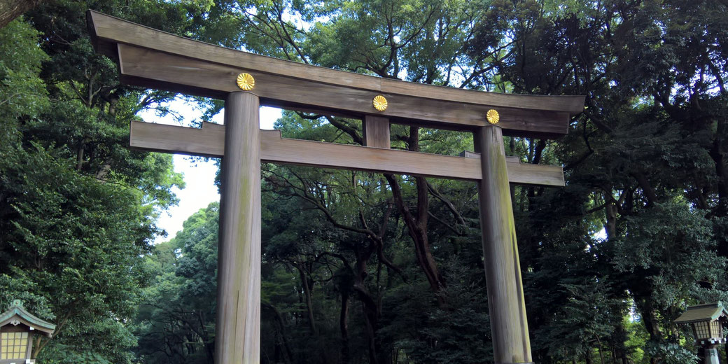 Meiji Shrine gate