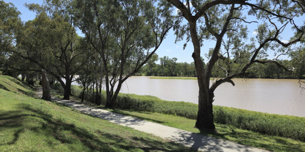 Tree-lined riverbank with a paved walking path, grassy slope, and muddy water under a clear blue sky.