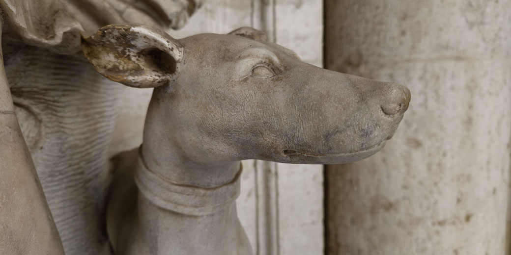 Marble sculpture of a dog’s head with alert ears and a smooth collar, likely part of a larger classical statue.