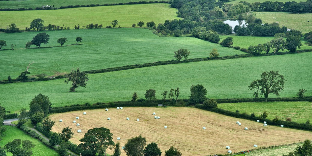Rolling green fields with scattered hay bales, bordered by hedgerows and trees, stretch toward a small pond in the distance.