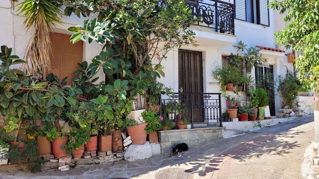 Paleó Karlóvasi.