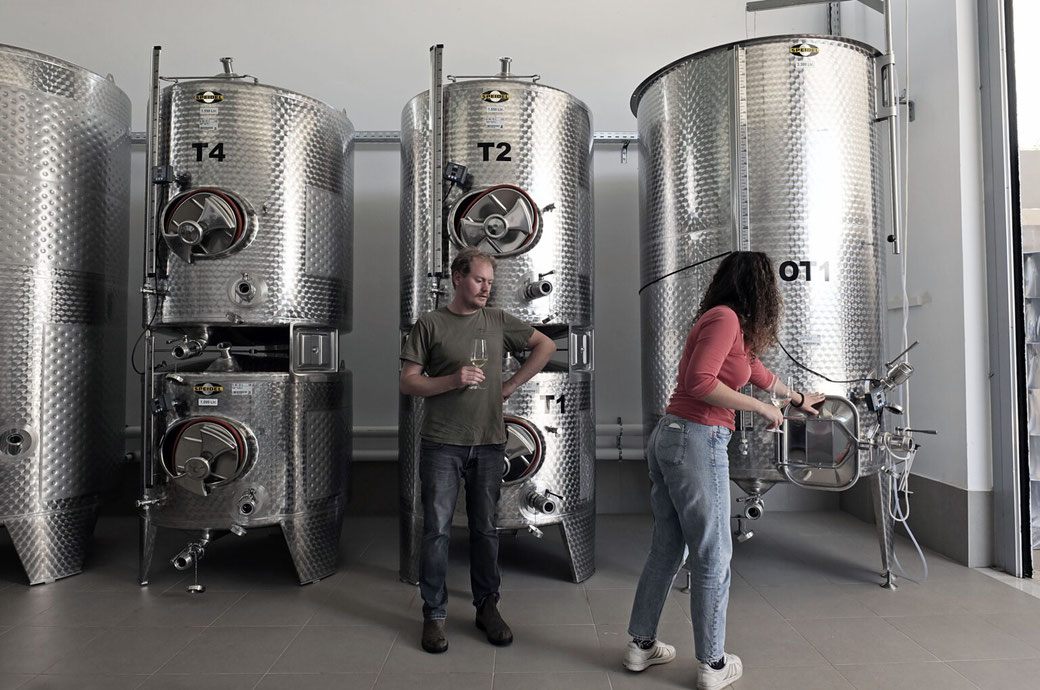 Eumorfia is kandidaat voor de titel Master of Wine, maar haar doel is de productie van fijne en pure wijnen/Foto: Nikos Kokkas