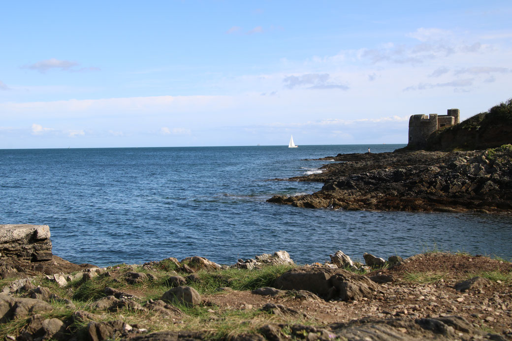 Coast Path Falmouth