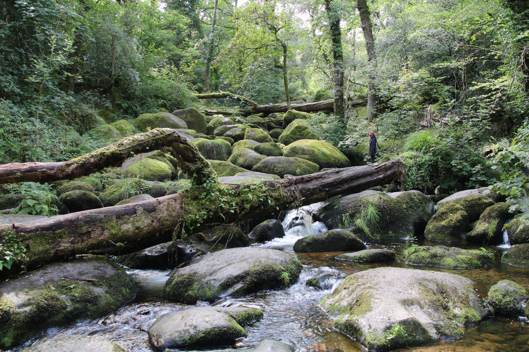 Beckey Falls Dartmoor