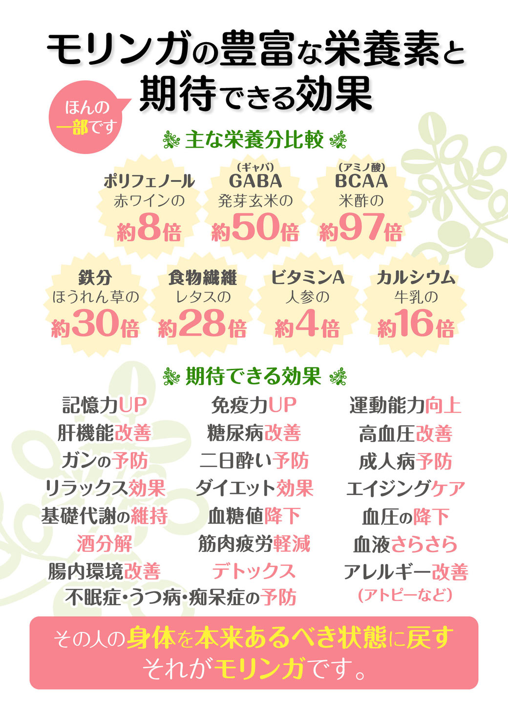 石垣島モリンガ王国モリンガ
