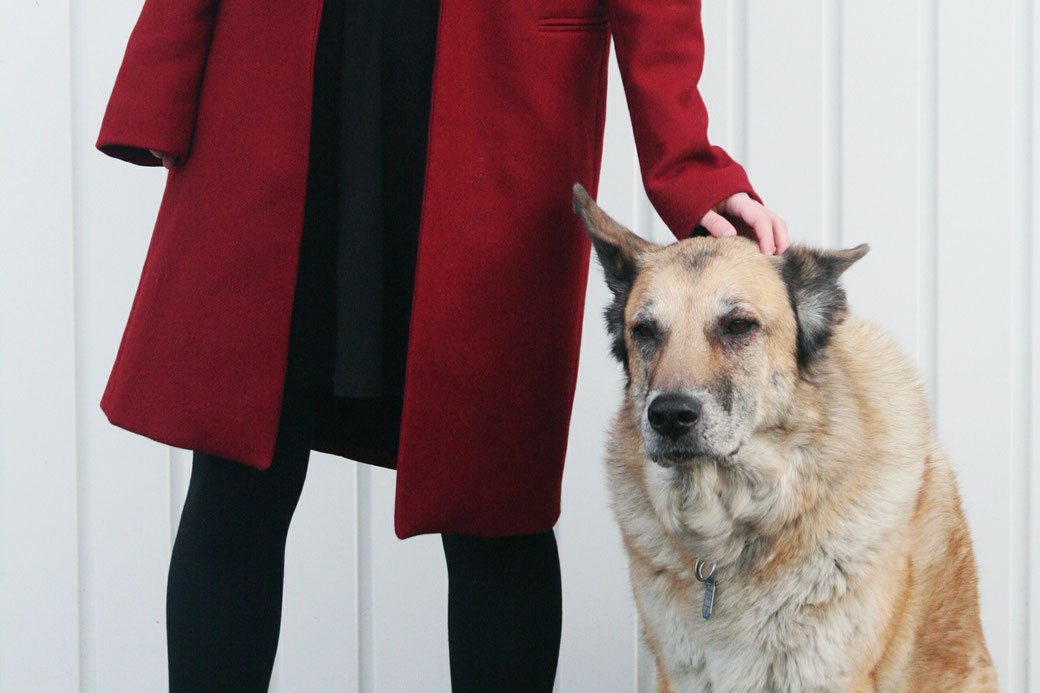 zara roter Mantel hund wolf wolfshund