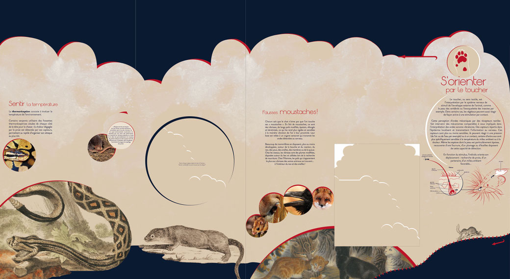 Section sur le toucher incluant une vitrine et un module pédagogique (cercle), exposition temporaire "Perds pas le nord", muséum Henri-Lecoq, Clermont-Ferrand