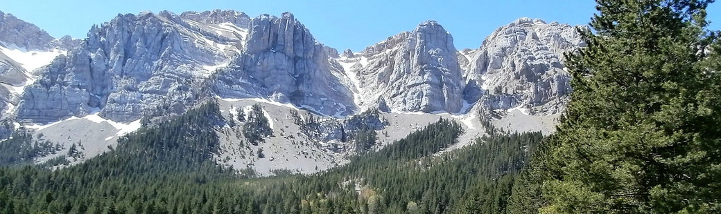 Excursió a peu o amb raquetes de neu - Prat del Cadí (Cerdanya)