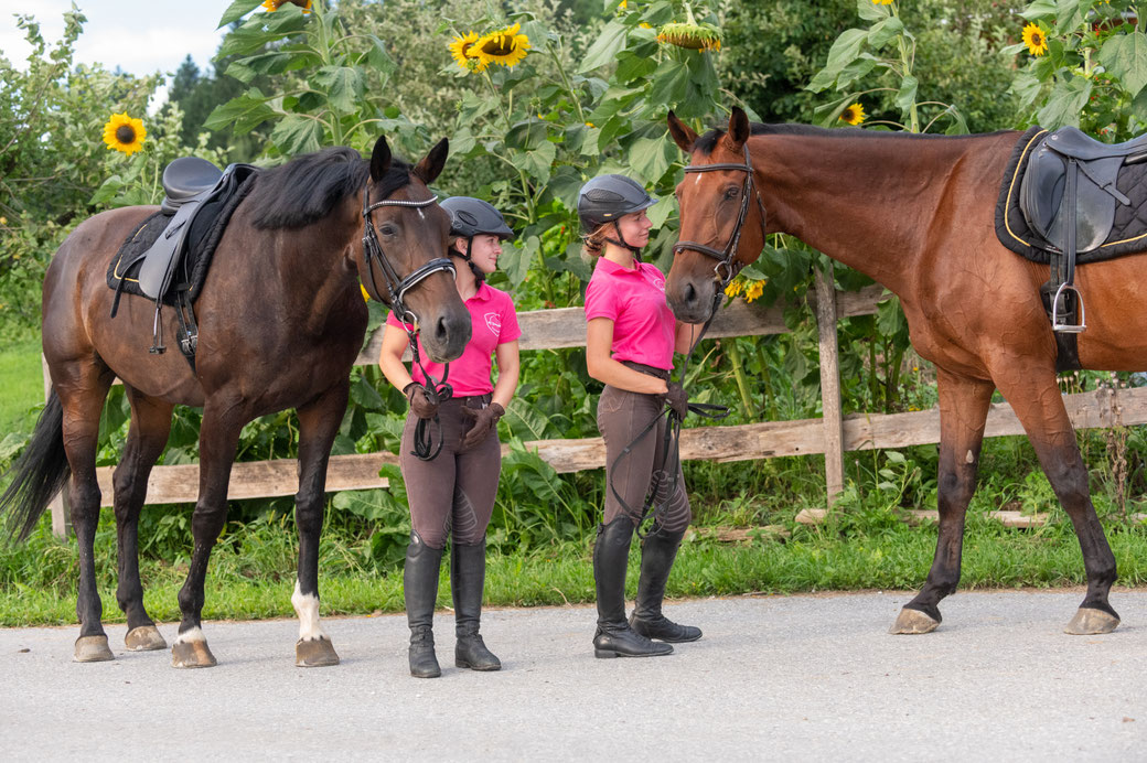 Zwei Reiterinnen in rosa Shirts und Reithelmen stehen mit ihren gesattelten braunen Pferden auf einem Weg, umgeben von blühenden Sonnenblumen in der Steiermark