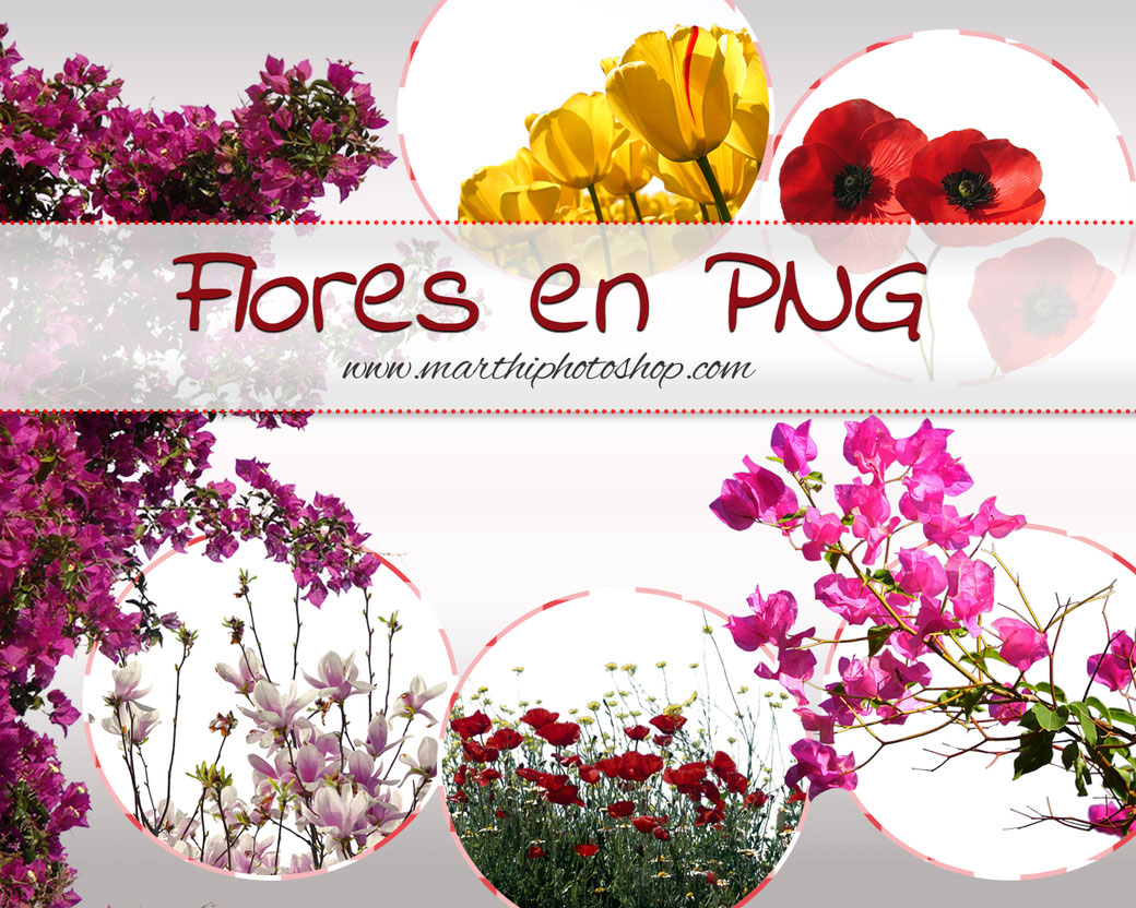 Flores en PNG