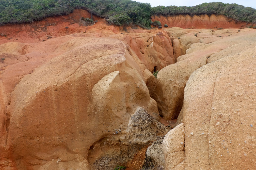 Tief eingegrabene Schluchten in den Red Rocks