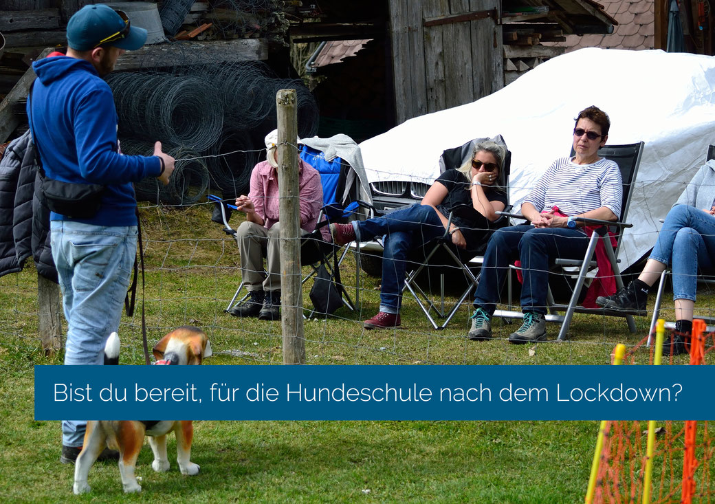 Begegnungs- & Kontakttag (Bist du bereit, für die Hundeschule nach dem Lockdown?)