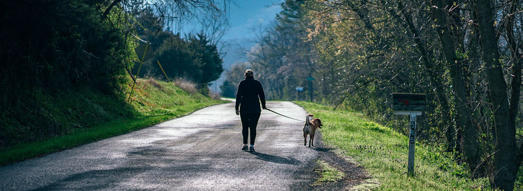 Wieso werden soziale Lebewesen (re) sozialisiert? NatürlichHund