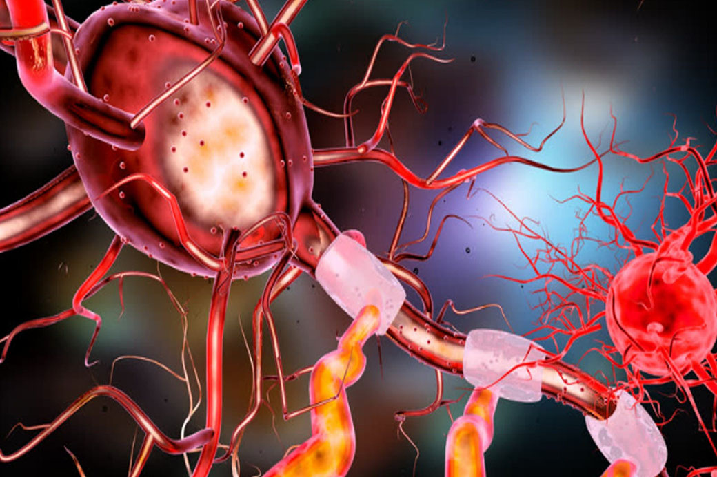 Bewertungen des limbischen Systems als Entscheidungsgrundlage der Neurobiologie für Lernen