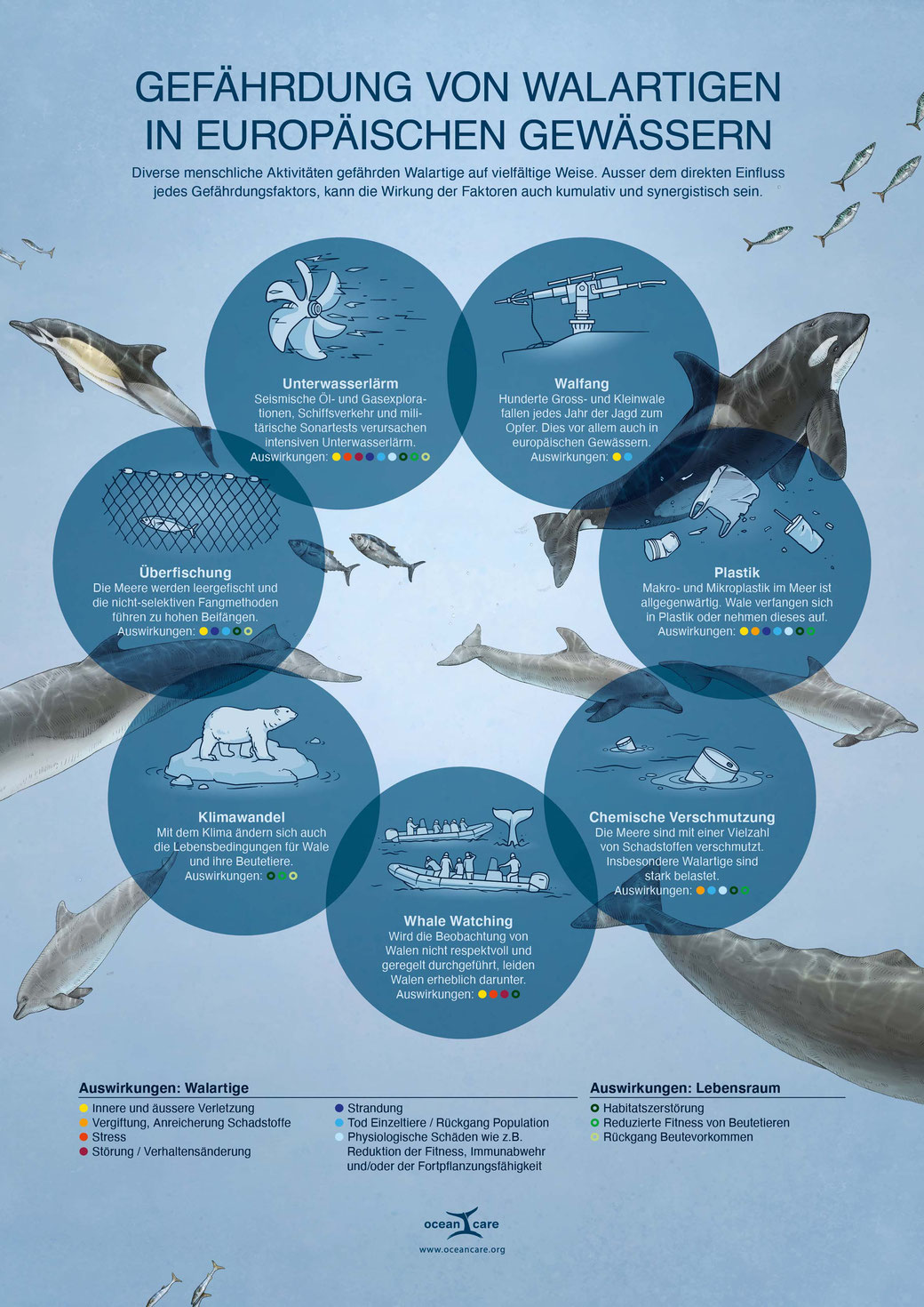 Infografik Kumulative Gefahren im Meer © Michael Stünzi